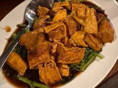 -绿光森林餐厅