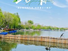 -莫愁湖公园