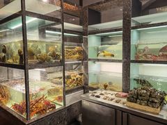 面包甜点陈列柜-甄御•海鲜新青岛菜(麦岛店)