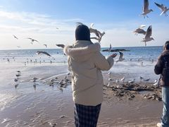 -老虎石海上公园