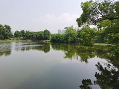 -长田漾湿地公园