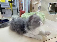 -万达广场(南宁青秀店)