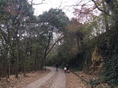 -上海佘山国家森林公园西佘山园