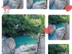 -广州白江湖森林公园