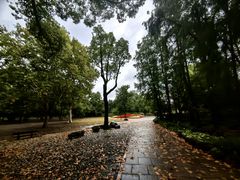 -上海共青森林公园