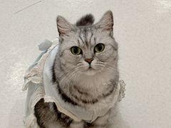 -共舞时光猫咖·狗咖(新街口店)
