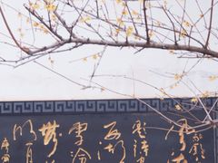 -八大山人梅湖景区