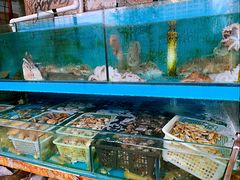 水产区-东海章鱼馆(恒瑞街店)