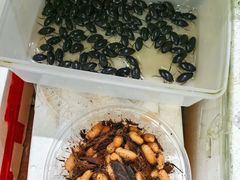 -崖口红树林海鲜餐厅