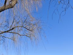 -颐和园-画中游
