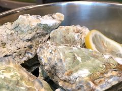 -海食焗(新光天地店)