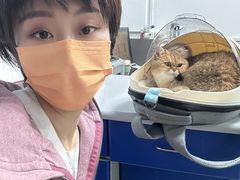 -成都民大动物医院