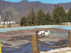 -白水寺森林公园