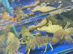 -班赞海鲜市场