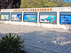 -广东惠东海龟国家级自然保护区