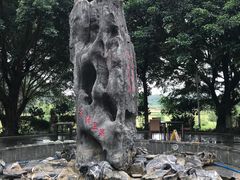 -英德宝晶宫天鹅湖茶语温泉
