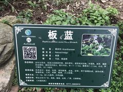 -广西壮族自治区药用植物园