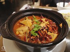 臭豆腐肥肠煲-小菜园新徽菜(常州金坛吾悦店)