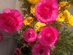 -孩子王(昆山招商花园城店)