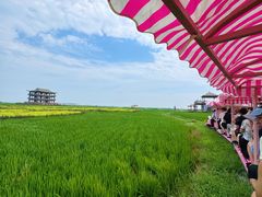 -红海滩国家风景廊道