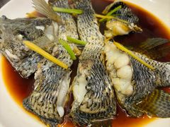 -渔人码头蒸汽海鲜(虬泾路店)