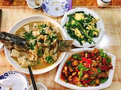 -煲来饱去冷水鱼