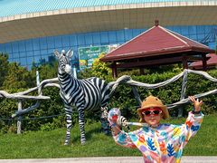 -渔岛海洋度假区