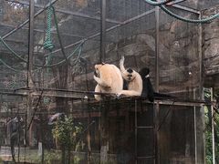 -南宁市动物园