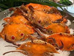 -雅枫国际酒店—枫叶自助餐(福田店)