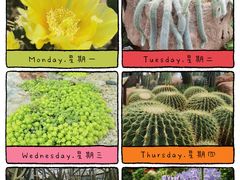-中国科学院华南植物园