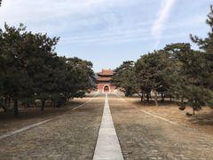 -清东陵