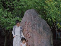-金鸡湖桃花岛