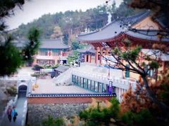 -海云台海滩
