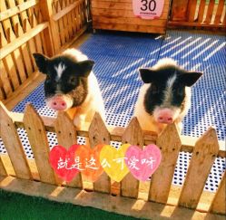 -萌宠亲子动物乐园(槐房万达店)