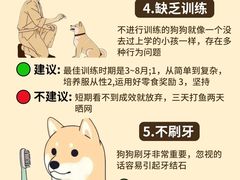 -申普宠物医院(总院)