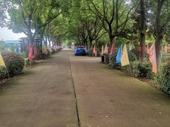 -上膳源有机农场