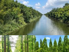 -黄海国家森林公园