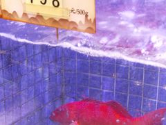 -珍宝轩海鲜火锅(碧湖大厦店)