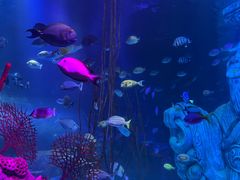 -沈阳海洋探索中心