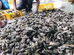 -霞涌市场海鲜摆卖区