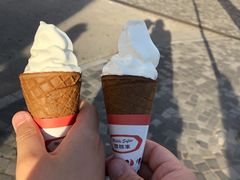 -富豪雪糕车流动点(尖沙咀店)