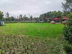 -洪湖家庭农场·团建·露营·会议
