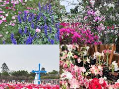-盈香心动乐园