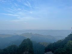 -老味道1992(武当山店)