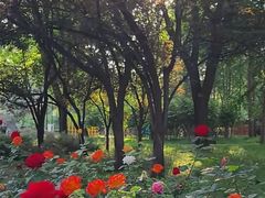 -玲珑塔公园
