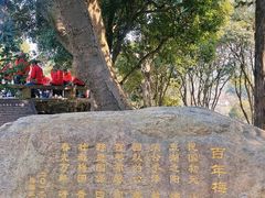 -无锡梅园公园