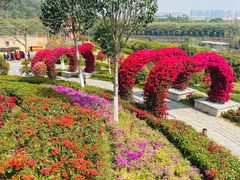 -东莞植物园