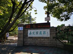 -嘉定紫藤园