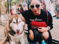 -TrueLove @ Neverland (Husky Cafe)