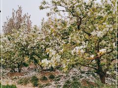 -元大都城垣遗址公园